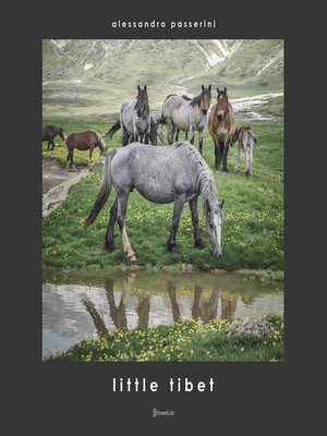 cover image of Little Tibet